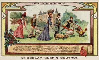 Gymkhana de French School