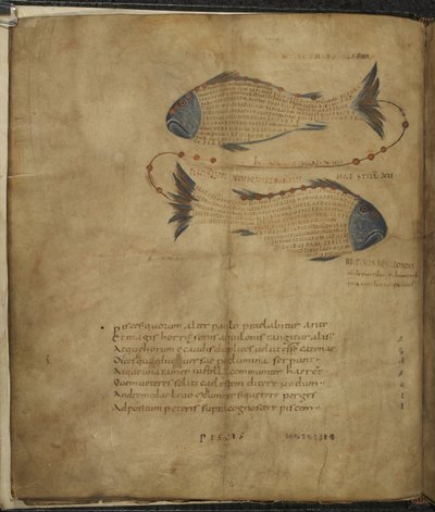 Harley 647, f.3v Ilustración de la constelación de Piscis, de 