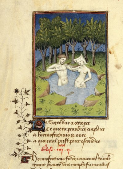 Harley MS 4431, f.132v, Miniatura de Hermaphroditus y la ninfa Salmacis bañándose en un lago, de 