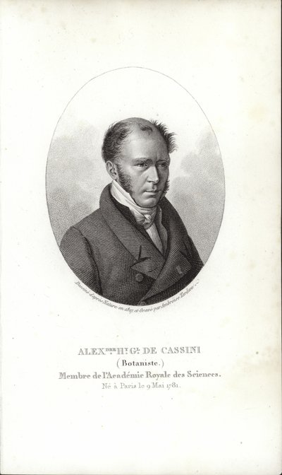 Henri Cassini de French School