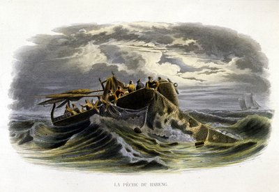 Pesca de arenques - en “Histoire naturelle de Lacepède” de French School