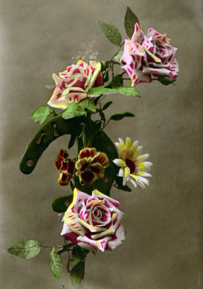 Herradura y flores c.1898 de French School