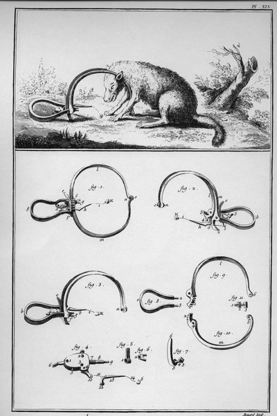 Caza - zorro atrapado en el trackenard (trampa) - “La Gran Enciclopedia, o Diccionario Razonado de las Ciencias, las Artes y los Oficios” (Enciclopedia o Diccionario de las Ciencias, las Artes y los Oficios) por Denis Diderot (1713-1784) y Jean d