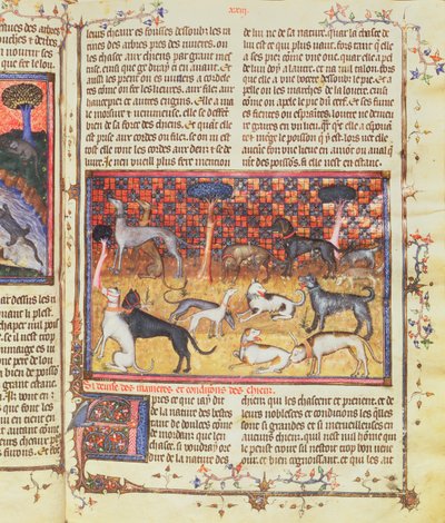 Perros de caza por Gaston III, Conde de Foix Phebus le Chasseur (1331-91), de Livre de la Chasse, 1387-89 de French School