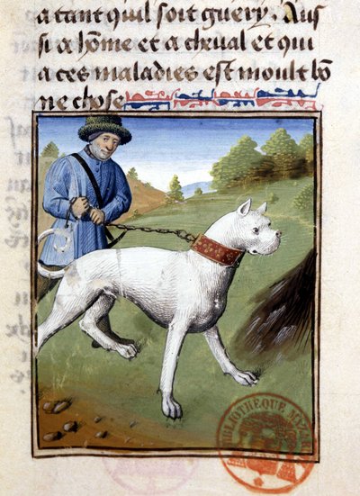 Perro de caza sostenido con una correa - en "Libro de Caza de Gaston Phoebus, Conde de Foix, Señor de Béarn" de French School