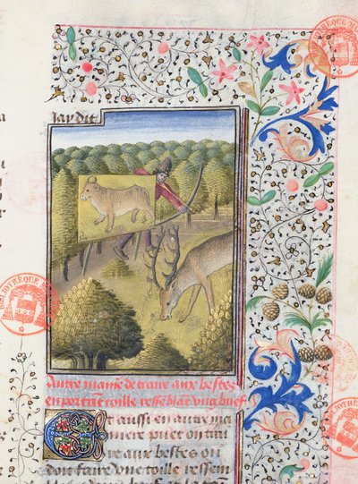 Cazador ocultándose detrás de un señuelo mientras caza un ciervo, del Livre de la Chasse de Gaston Phebus de Foix (1331-91) de French School