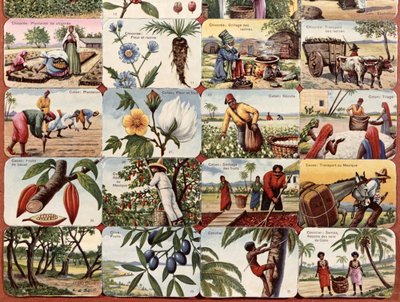 Ilustración para un libro de texto escolar francés de varios productos de las colonias, c.1920-30 de French School