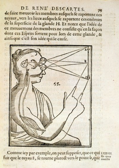 Ilustración de De Homine Figuris por René Descartes (1596-1650) publicada en La Haya, 1662 de French School
