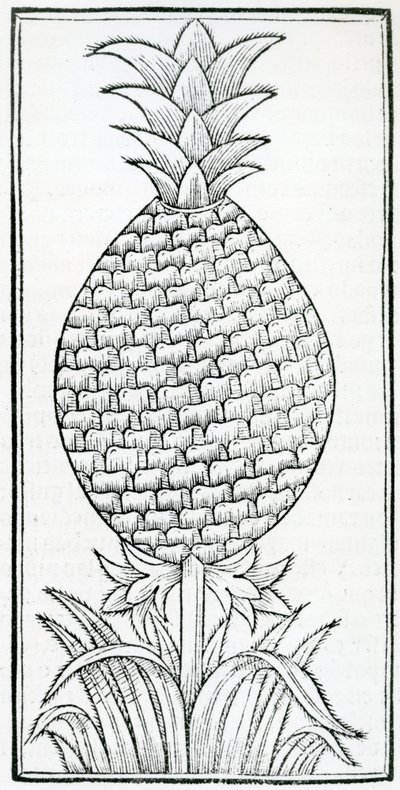 Ilustración de 