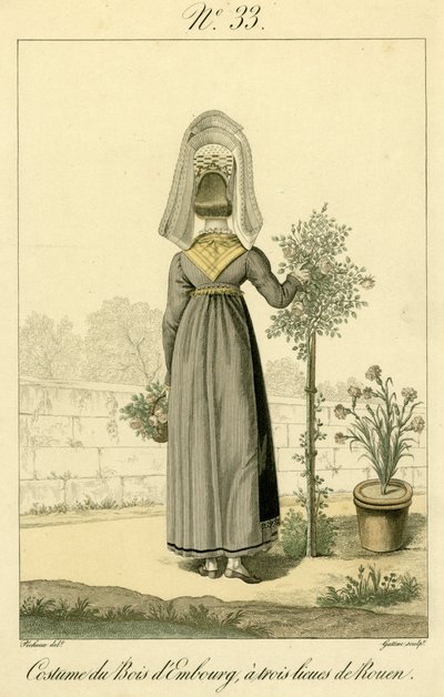 Ilustración nº 33, Traje de Bois d