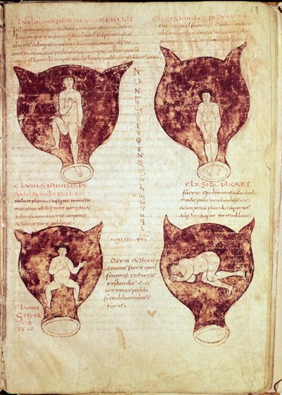 Ilustraciones del feto, del llamado manuscrito Rhodion de French School