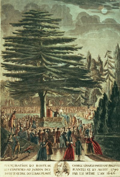 Inauguración del busto de Carl Linnaeus (1707-78) en el Jardín de Plantas, debajo del Cedro del Líbano que plantó en 1646, 23 de agosto de 1790 de French School