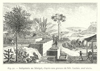 Indigotería en Senegal, según un grabado de Seb, Leclerc, siglo XVII de French School
