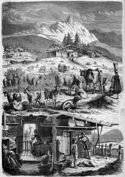 Habitantes e industria láctea de los Alpes de French School