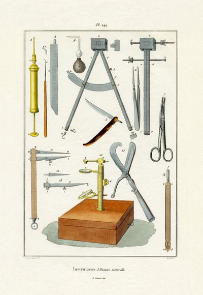 Instrumentos de French School