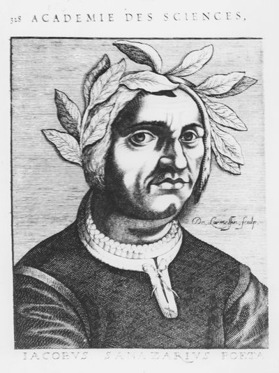Jacopo Sannazaro de French School