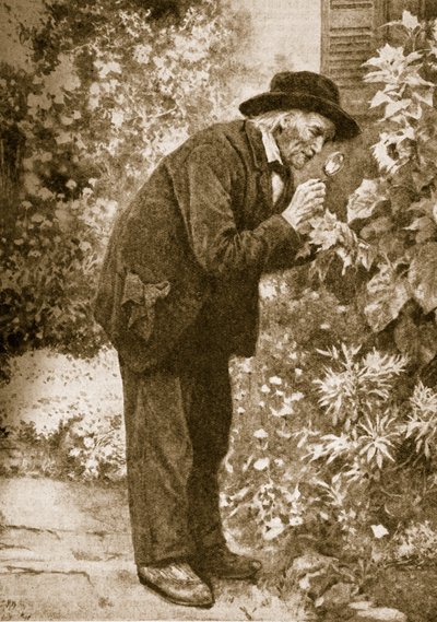 Jean-Henri Fabre observando insectos de French School