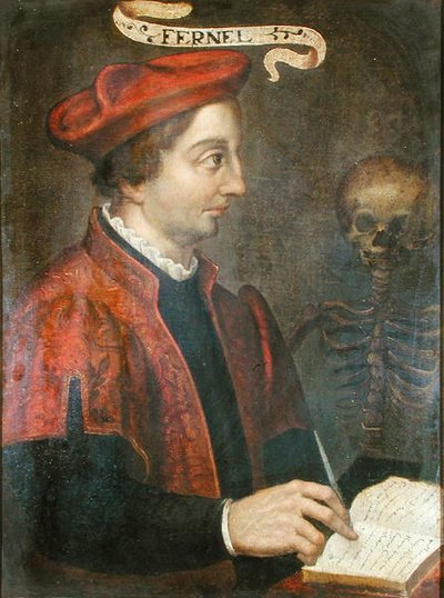 Jean Fernel (c.1497-1558) de French School