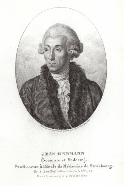 Jean Hermann de French School