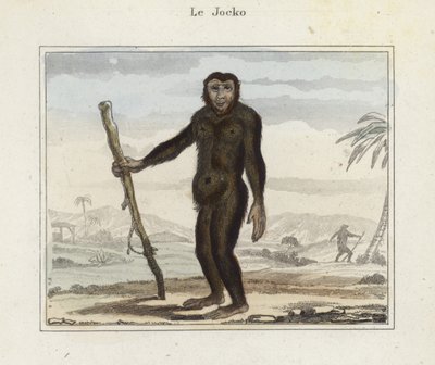 Jocko de French School