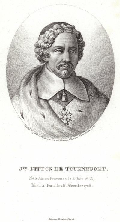 Joseph Pitton de Tournefort de French School