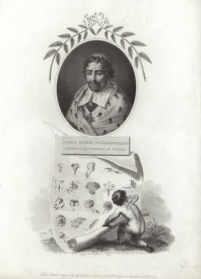 Joseph Pitton de Tournefort de French School