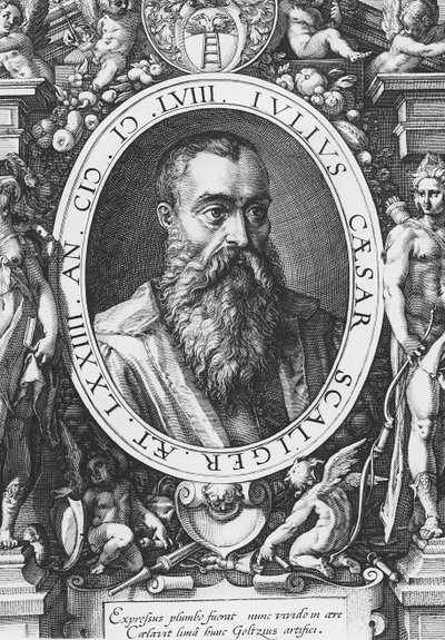 Julio César Scaliger (grabado) de French School