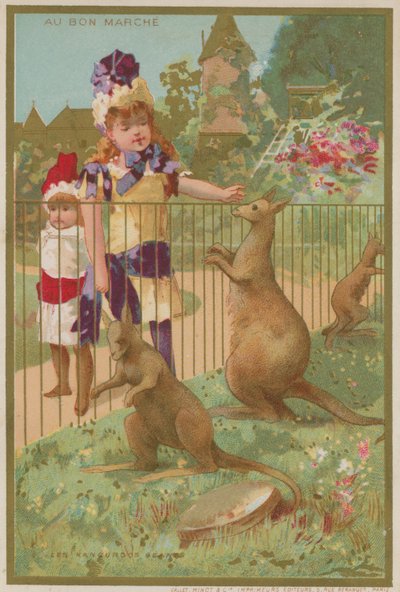 Canguros en un zoológico de French School