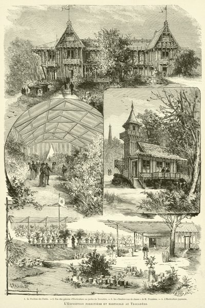 La Exposición forestal y hortícola en el Trocadero de French School