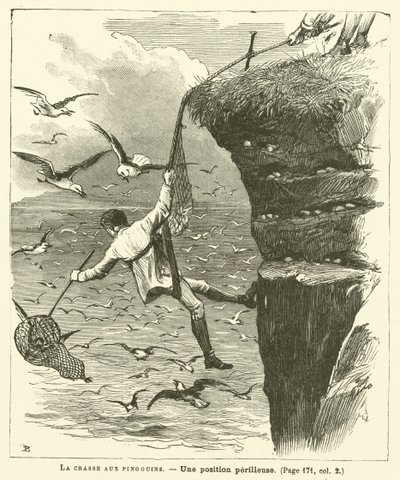 La caza de pingüinos de French School