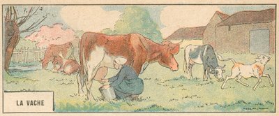 La Vaca de French School