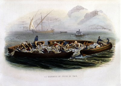 La madrague o pesca de atún - en "Histoire naturelle de Lacépède" de French School