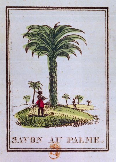 Etiqueta para un jabón perfumado con aceite de palma, que representa una palmera de French School