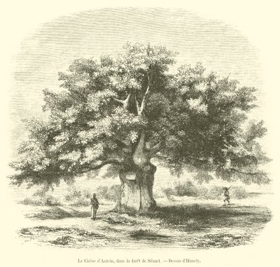 El roble de Antein, en el bosque de Senart de French School