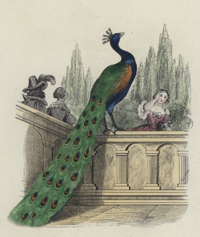 El Pavo Real Se Queja A Juno de French School