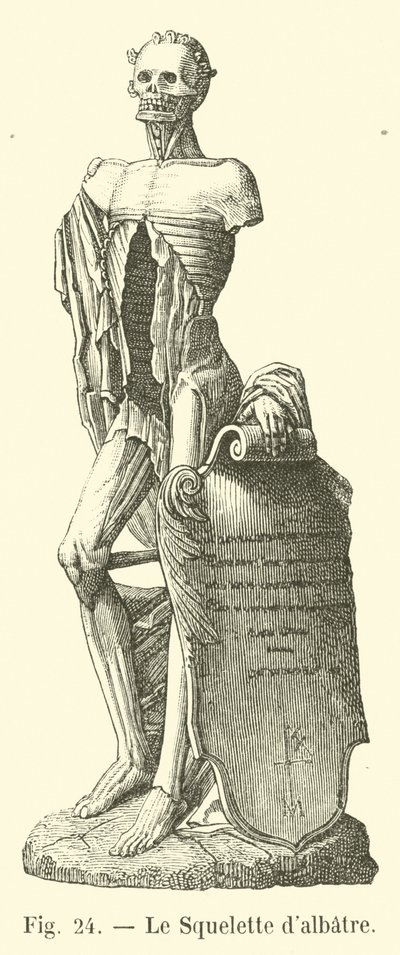 El Esqueleto de alabastro de French School