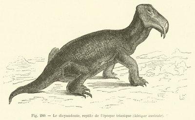 El dicinodonte, reptil de la época triásica, África austral de French School