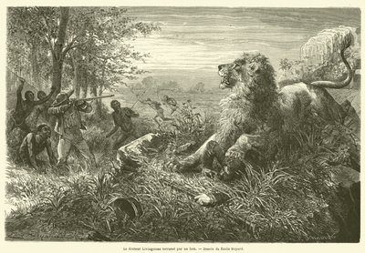 El doctor Livingstone derribado por un león de French School