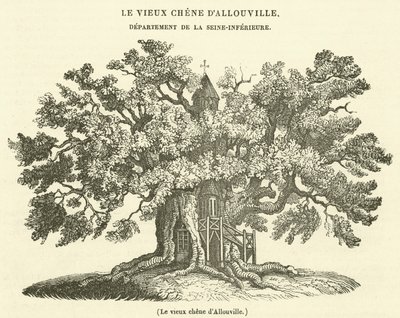 El viejo roble de Allouville de French School
