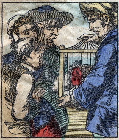 Lemuel Gulliver, en una jaula, es mostrado a los gigantes de Brobdingnag. Ilustración para “Los viajes de Gulliver” de Jonathan Swift (1667-1745). Imagen de Epinal de finales del siglo XIX. de French School