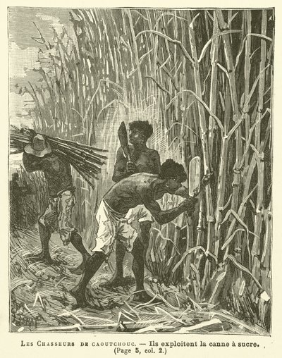 Los cazadores de caucho de French School