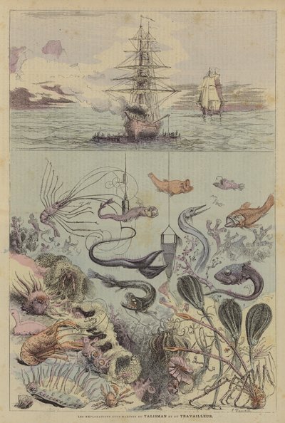 Les Explorations Sous-Marines Du Talisman Et Du Travailleur (litografía en color) de French School