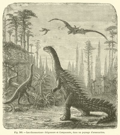 Los dinosaurios, Stegosaurio y Compsonote, en un paisaje de araucarias de French School