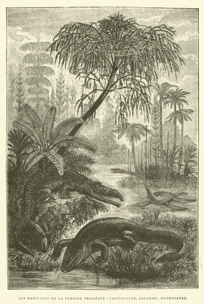Los habitantes del período triásico, capitosaure, belodon, nothosaure de French School
