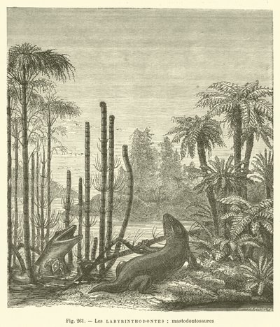 Los laberintodontes, mastodontosaurios de French School