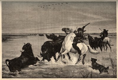Les oxes (raza bovina) de la Camarga según la pintura de Vayson - grabado en “PATRIE” - DESCRIPCIÓN PICTÓRICA DE FRANCIA EN 6 VOLÚMENES POR LUCIEN HUARD - finales del siglo XIX de French School