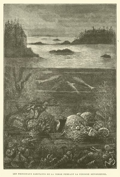 Los principales habitantes de la tierra durante el período devónico de French School