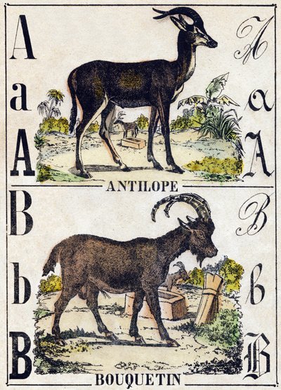 Letra A Antílope; B Íbice. Grabado en "Alfabeto de animales salvajes". 9ª Serie. Imágenes de Epinal, Pellerin, impresor-editor, circa 1870. Grabados en madera, estarcidos. 16 páginas. Dim: 20 x 15 cm. Colección privada de French School