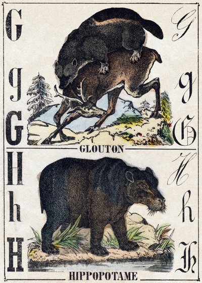 Letra G Glotón; H Hipopótamo. Grabado en "Alfabeto de animales salvajes". 9ª Serie. Imágenes de Epinal, Pellerin, impresor-editor, circa 1870. Grabados en madera, estarcidos. 16 páginas. Dim: 20 x 15 cm. Colección privada de French School