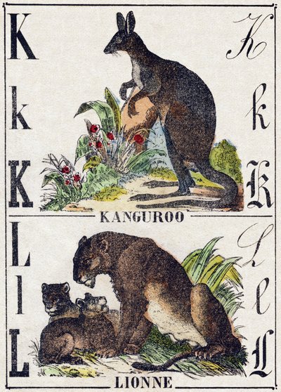 Letra K L; K Canguro; L Leona. Grabado en "Alfabeto de animales salvajes". 9ª Serie. Imágenes de Epinal, Pellerin, impresor-editor, circa 1870. Grabados en madera, estarcidos. 16 páginas. Dim: 20 x 15 cm. Colección privada de French School
